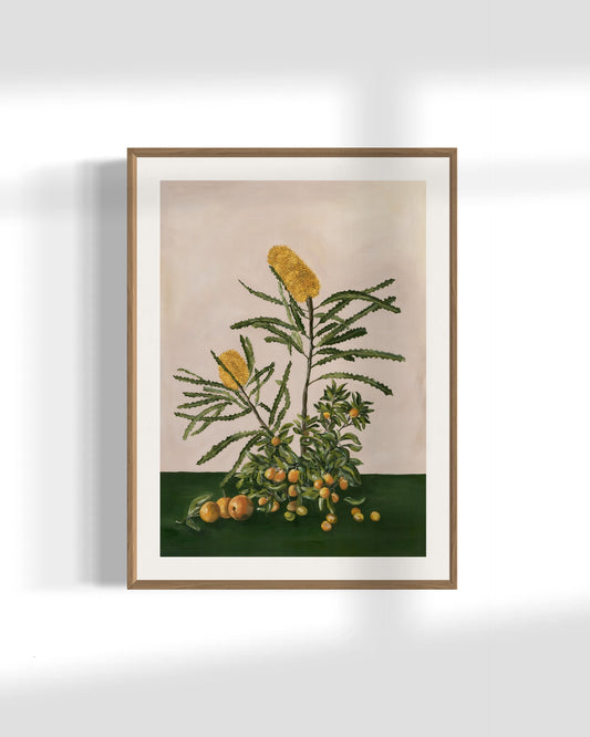 'Banksia' Original Painting
